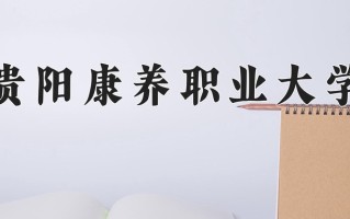 2024贵阳康养职业大学录取分数线：贵州最低379分