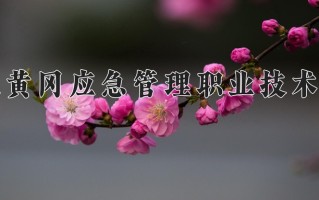 2024年湖北黄冈应急管理职业技术学院录取分数线，新疆最低210分