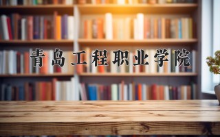 2024年青岛工程职业学院录取分数线，河北最低395分