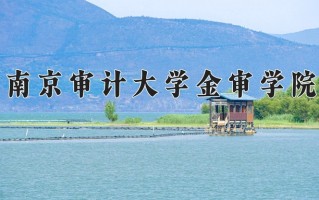 2024年南京审计大学金审学院录取分数线，内蒙古最低408分