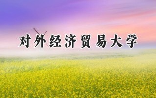 对外经济贸易大学2024在青海录取分数线是多少？最低497分/最高569分