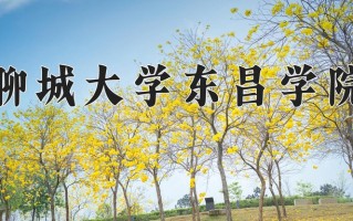 聊城大学东昌学院学费多少钱一年：12800-16200元/年（2025填报参考）