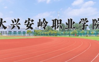 2024大兴安岭职业学院录取分数线，重庆录取最低分303