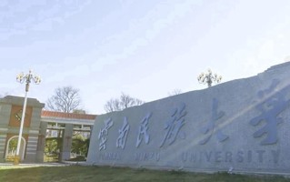 2024云南民族大学录取分数线，重庆录取最低分495