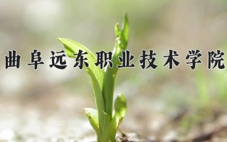 2024曲阜远东职业技术学院录取分数线：浙江最低269分