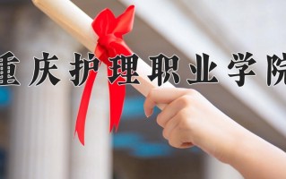 2025年重庆护理职业学院在四川计划招生人数（附学费及专业录取分)