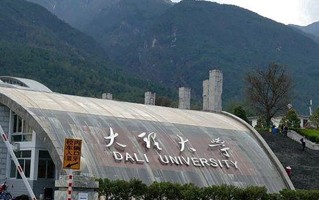2024年大理大学录取分数线，河北最低510分