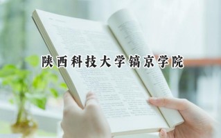 2024陕西科技大学镐京学院录取分数线：宁夏最低392分