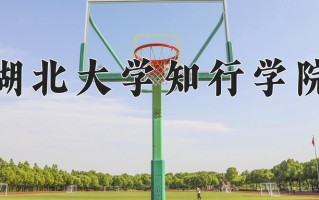 湖北大学知行学院最厉害的专业-2024湖北大学知行学院最好专业