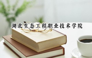 湖北生态工程职业技术学院2024在山东录取分数线是多少？最低390分/最高451分