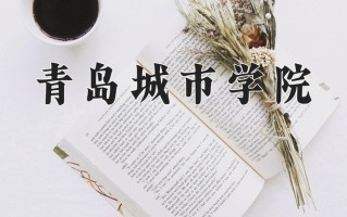 2024年青岛城市学院录取分数线，宁夏最低388分