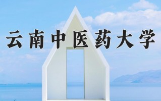 2024年云南中医药大学录取分数线，青海最低380分