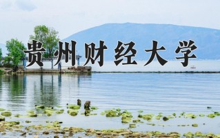 2024年贵州财经大学录取分数线，青海最低371分