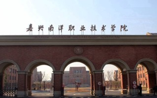 2024嘉兴南洋职业技术学院录取分数线：浙江最低394分