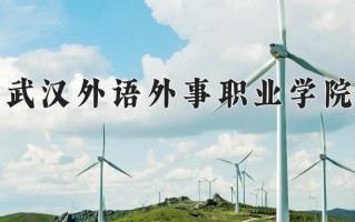 2024年武汉外语外事职业学院录取分数线，青海最低195分