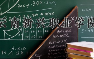 2024年云南新兴职业学院录取分数线，青海最低232分