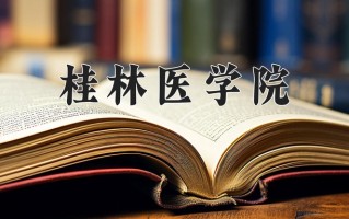 2024年桂林医学院录取分数线，新疆最低383分