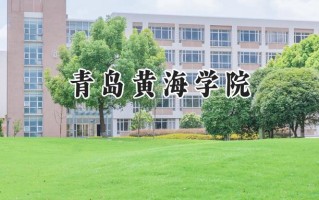 青岛黄海学院2024在山东录取分数线是多少？最低241分/最高493分