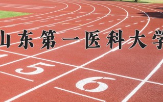 2024山东第一医科大学录取分数线：浙江最低536分