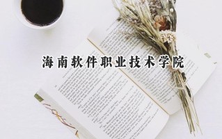 2024海南软件职业技术学院录取分数线：陕西最低161分