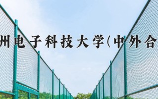 2024杭州电子科技大学(中外合作)录取分数线，重庆录取最低分578
