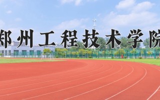 2024郑州工程技术学院录取分数线：浙江最低496分