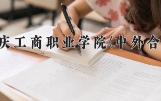 2024重庆工商职业学院(中外合作)录取分数线，重庆录取最低分359