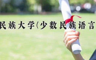 2024年西北民族大学(少数民族语言文学)录取分数线，内蒙古最低437分
