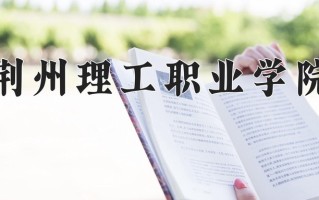 2025年荆州理工职业学院在四川计划招生人数（附学费及专业录取分)