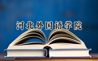 2024河北外国语学院录取分数线：天津最低491分