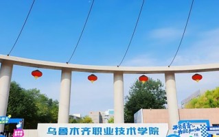 2024年乌鲁木齐职业技术学院录取分数线，新疆最低140分