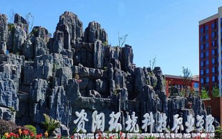 2024资阳环境科技职业学院录取分数线：浙江最低269分
