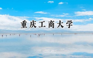 重庆工商大学2024在青海录取分数线是多少？最低401分/最高469分