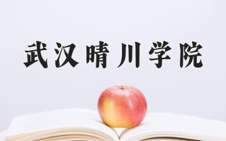 2024武汉晴川学院录取分数线：浙江最低412分