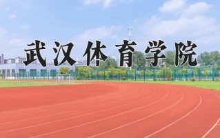 2024武汉体育学院录取分数线：浙江最低540分