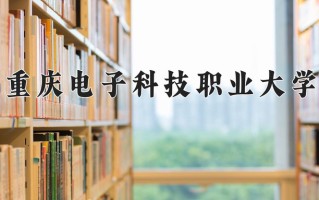 2024年重庆电子科技职业大学录取分数线，宁夏最低371分