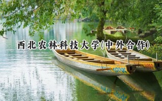 2024西北农林科技大学(中外合作)录取分数线：陕西最低545分
