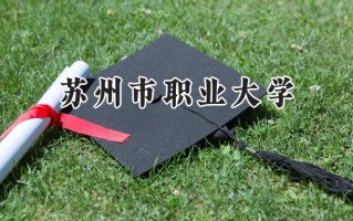 2024苏州市职业大学录取分数线：江苏最低401分