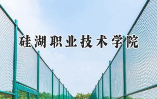 硅湖职业技术学院2024在江苏录取分数线是多少？最低230分/最高381分
