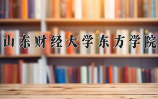 2024山东财经大学东方学院录取分数线：浙江最低476分