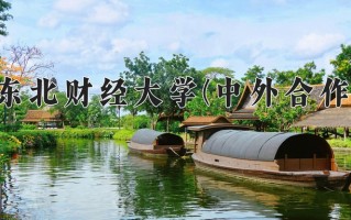 2024东北财经大学(中外合作)录取分数线，重庆录取最低分502
