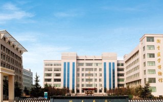2024年郑州澍青医学高等专科学校录取分数线，新疆最低249分