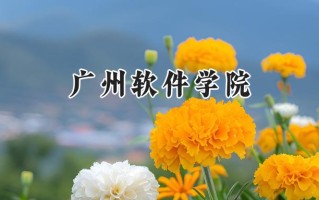 广州软件学院2024在山东录取分数线是多少？最低442分/最高485分