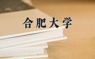2024合肥大学录取分数线：浙江最低543分
