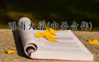 2024西南大学(中外合作)录取分数线，重庆录取最低分553