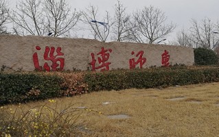 2024年淄博师范高等专科学校录取分数线，新疆最低209分