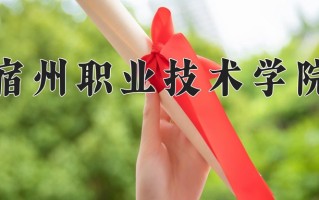 2025年宿州职业技术学院在四川计划招生人数（附学费及专业录取分)