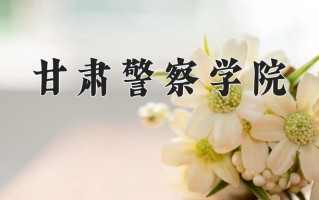 2024年甘肃警察学院录取分数线，青海最低316分