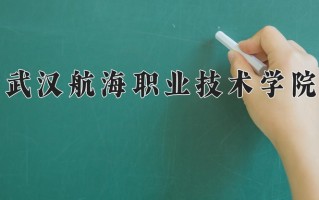 2024武汉航海职业技术学院录取分数线：浙江最低424分
