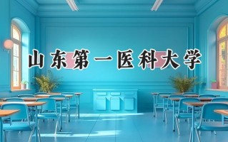 山东第一医科大学2024在浙江录取分数线是多少？最低536分/最高618分